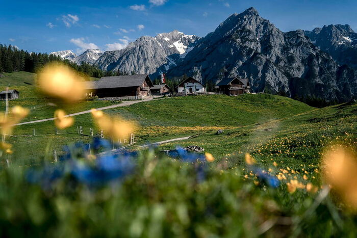 Walderalm