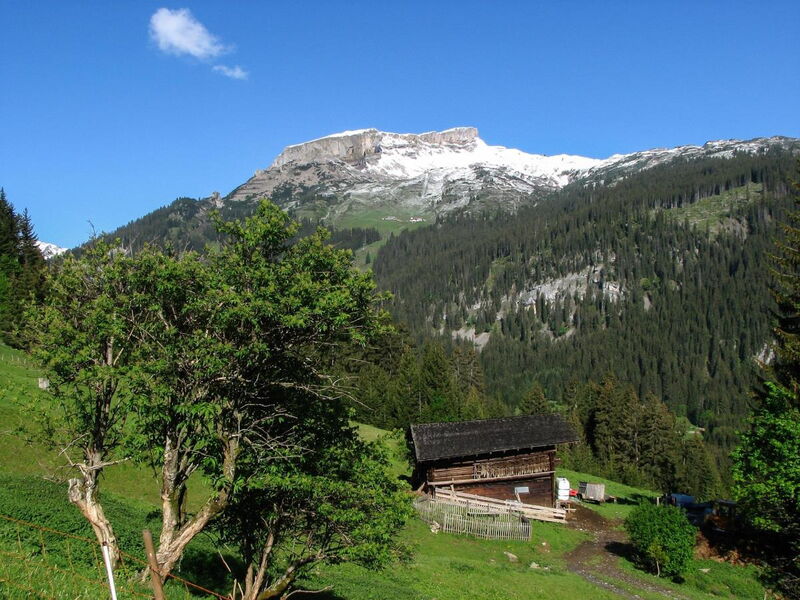 Alpenglück-LuxusLodge "Widderstein"