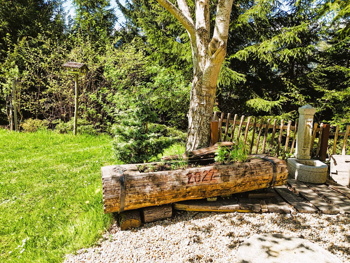 Sitzbank aus einem Holzstamm unter der Birke neben dem Kochhäusl am Wattenberg, ruhiger Platz im Grünen in den Tuxer Alpen