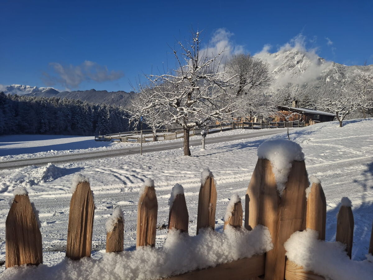 Schneebedeckter Holzzaun mit verschneitem Baum und Wiese am Riedhof in Breitenbach, Winter am Bio-Bauernhof in Tirol