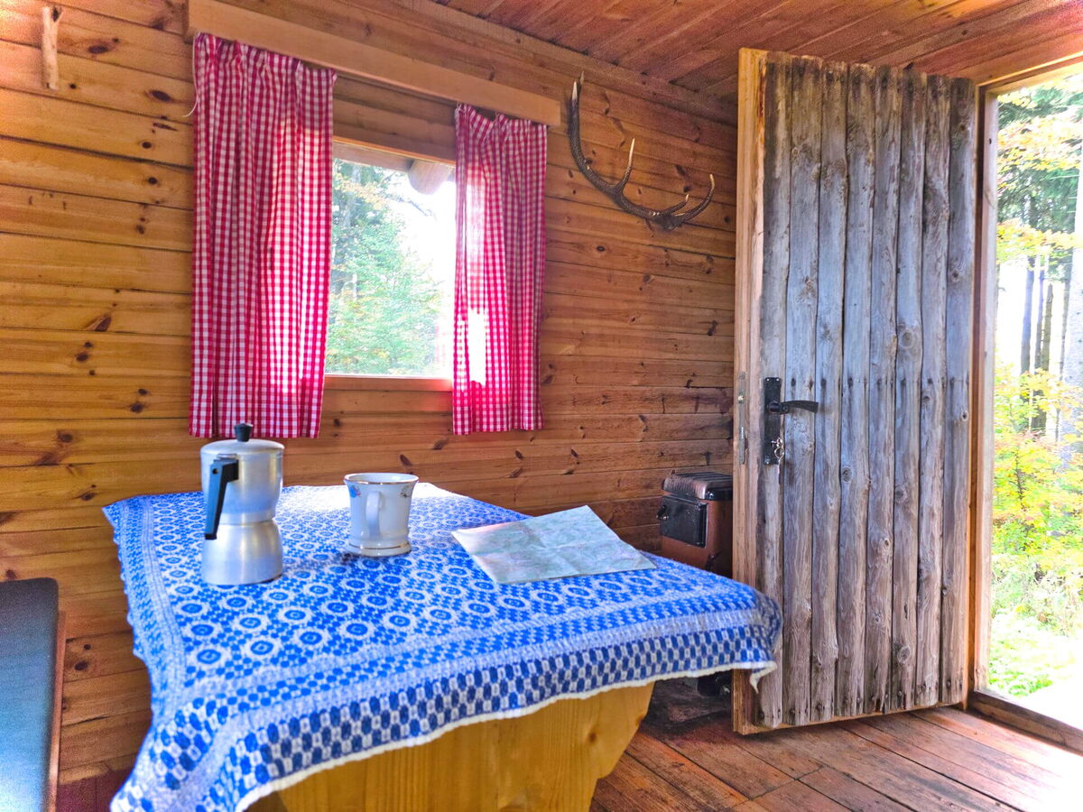 Helle Wohnhütte mit karierter Tischdecke und offener Holztür, Waldausblick inklusive