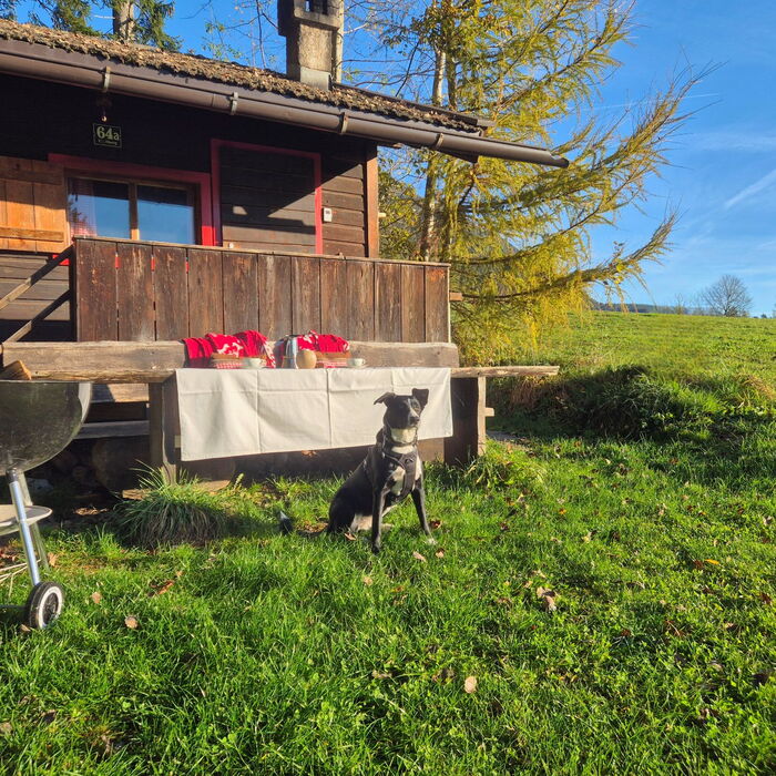 Der Hund wartet vor der Hütte auf sein Leckerli.