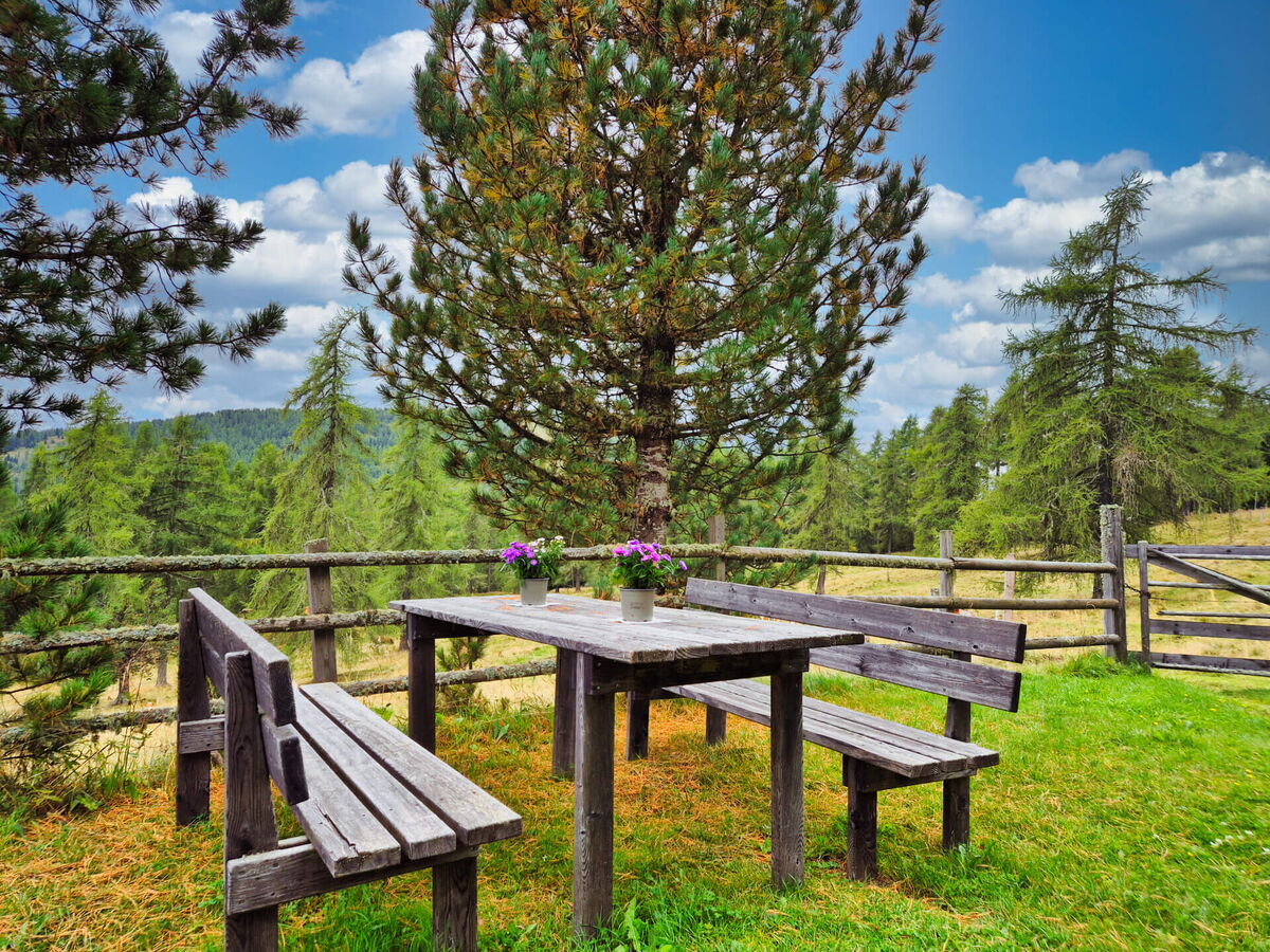 Holztisch mit zwei Bänken auf der Almwiese vor der Pietschacher Almhütte, dahinter Zirben und Weidezaun