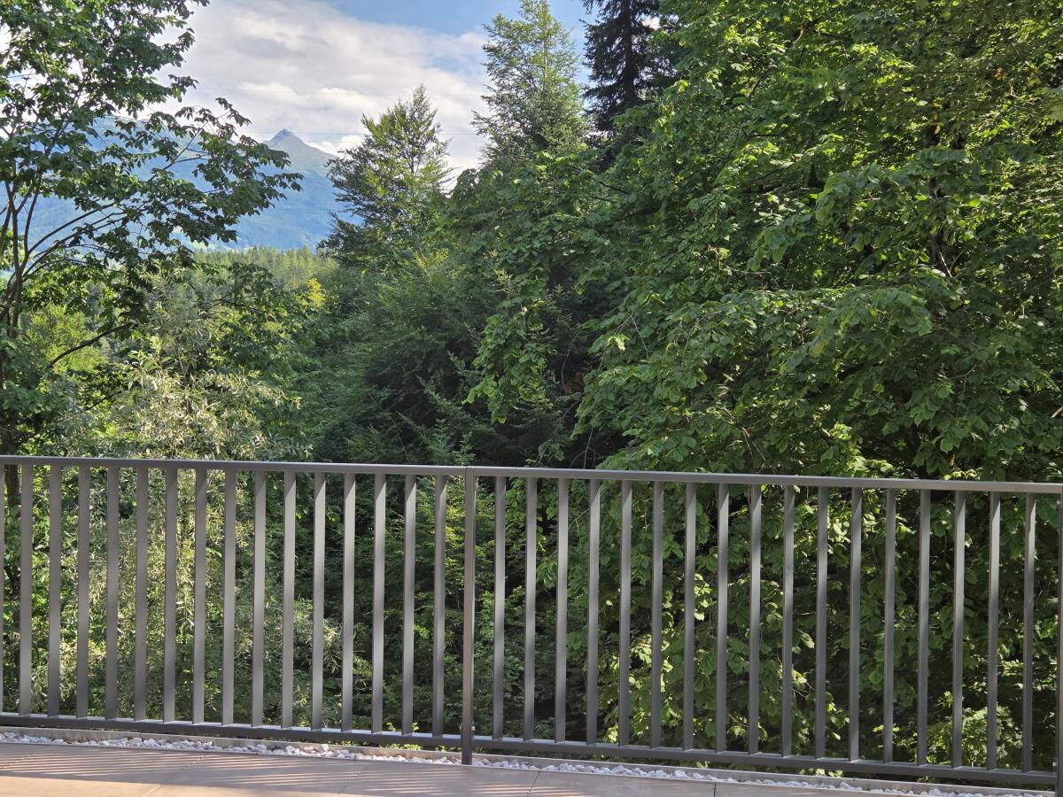 View over the terrace railing into the forest with the Karwendel mountains behind
