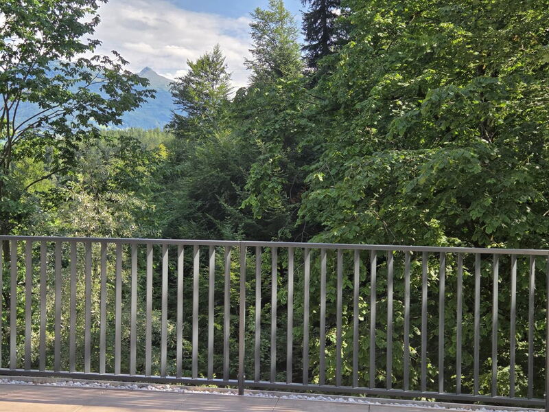 Waldsicht am Karwendelgebirge
