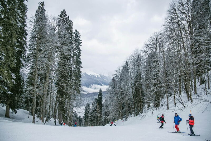 Skiers on the piste in the Hochrindl ski area between snow-covered spruces with a view into the valley