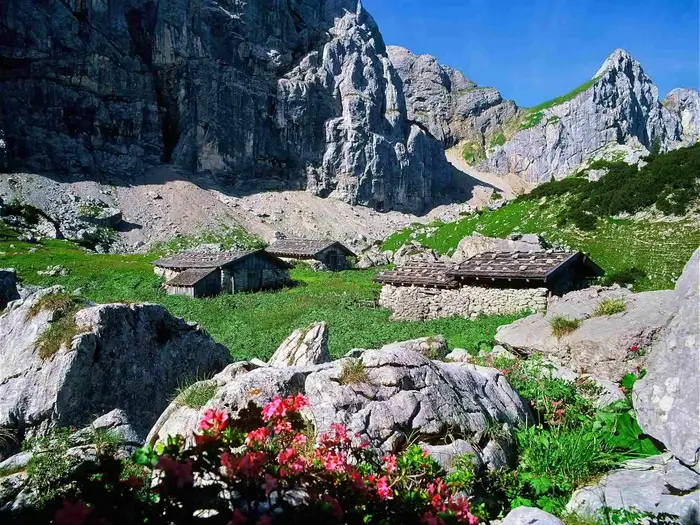 Hiking and Almen in the Alpbachtal