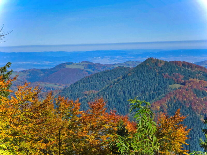 Herbstliches Bergpanorama mit goldenen Wäldern in Niederösterreich, Blick zur Abenteurer-Hütte.