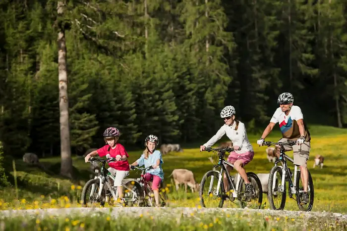 A family cycling the flat route along the valley floor past a cattle pasture