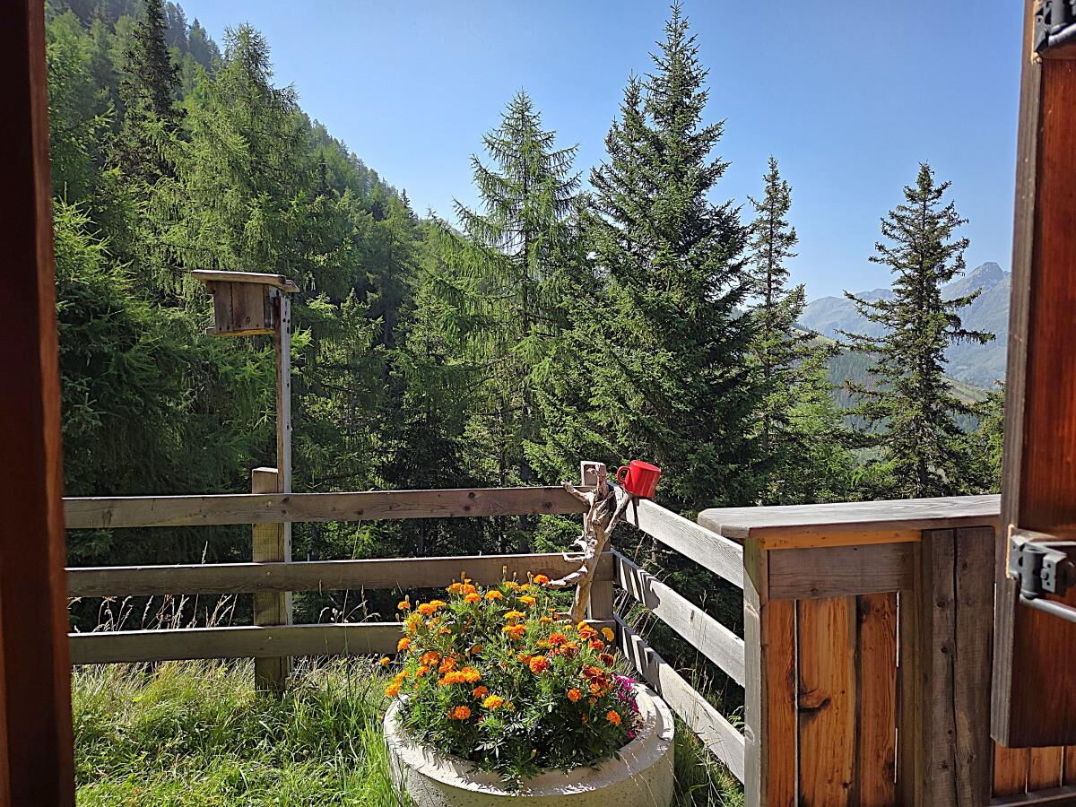 Balkon der Zarze Almhütte mit Blumenkasten und Blick in den Bergwald, Almhütte in Alleinlage in Osttirol