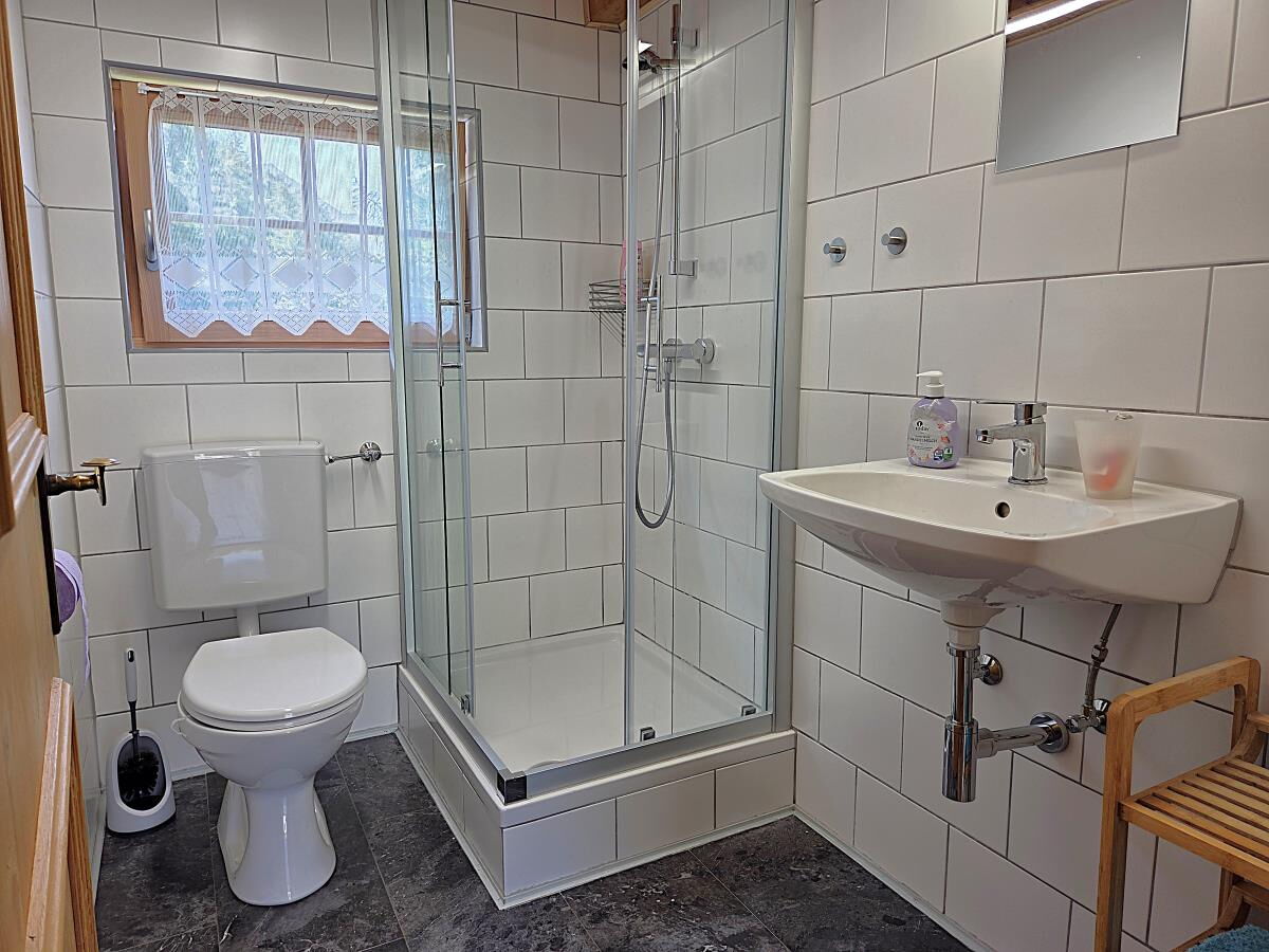 Bad mit Dusche, WC und Waschbecken in der Zarze Almhütte, Komfort auf 1.880 m im Nationalpark Hohe Tauern