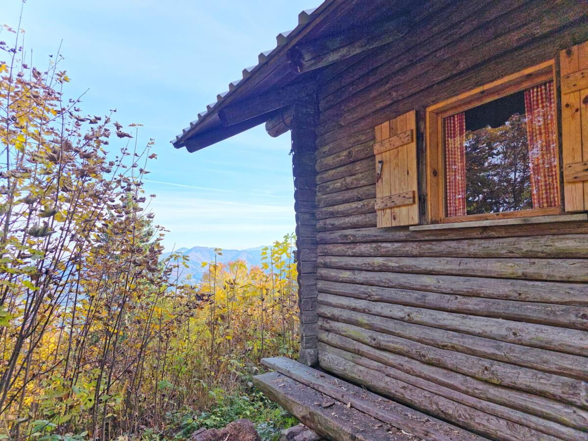 Detail der verwitterten Lärchenholzfassade der Abenteurer-Hütte mit kleinem Fensterladen.