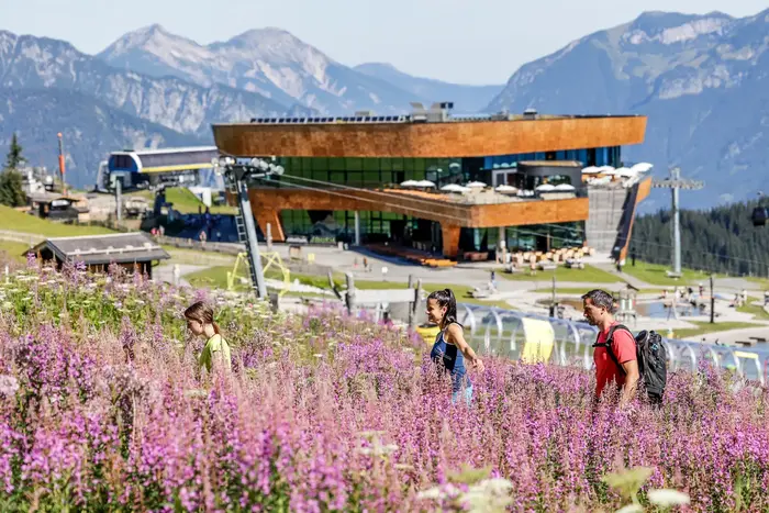 Family on an adventure trail in the Zillertal among flowering Alpine roses