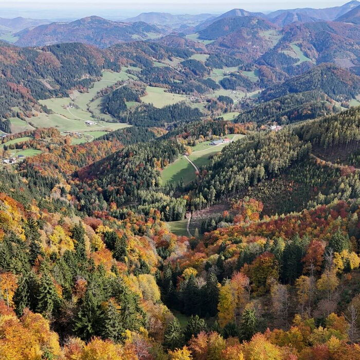 Im Herbst den Blick über die Bergwelt vom Mostviertel in Niederösterreich.