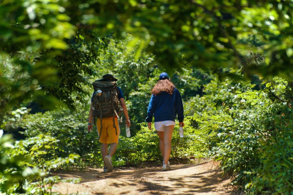 Zwei Wanderer auf einem grünen Waldweg in der Umgebung der Abenteurer-Hütte, Niederösterreich