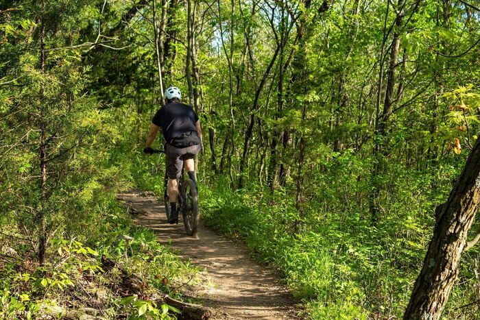Cyclists on a valley cycle path