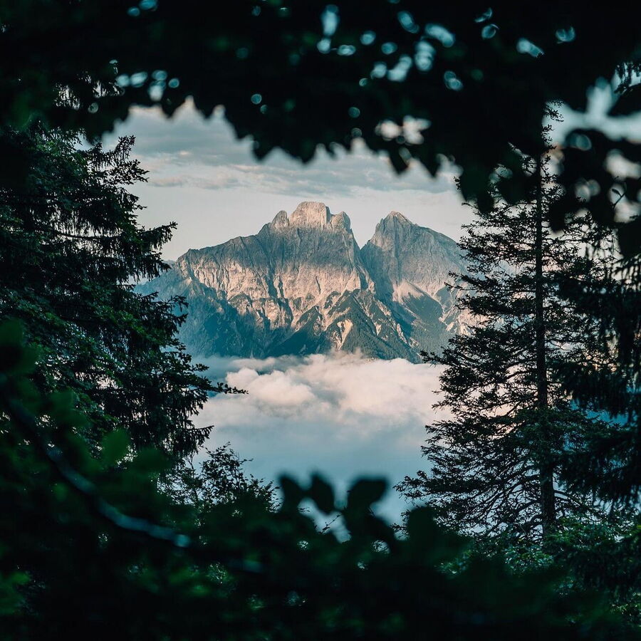 Durch den Baum die hohen Gipfel gegenüber bestaunen.