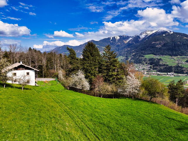 Alpenrehblick am Vomperberg: Ferienhaus mit Sauna und eingezäuntem Hundegarten, Wiesen und Bergblick