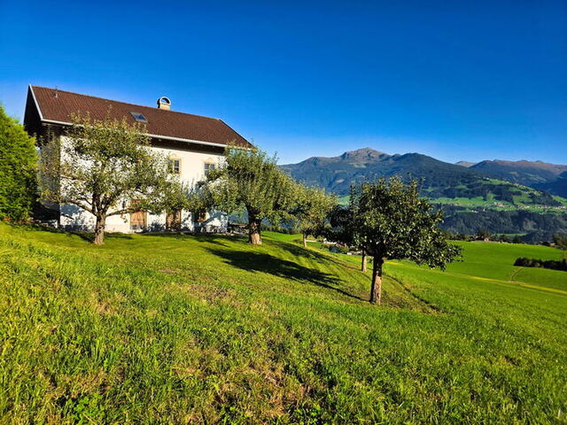 Grafenhaeusl in der Natur mit dem Karwendelgebirge im Hintergrund.