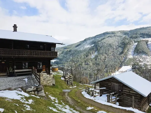 Berghütte Artlieb in Bischofshofen im Pongau: 420 Jahre alte Hütte mit Hot Pot und Saunafass in Alleinlage am Hochkönig