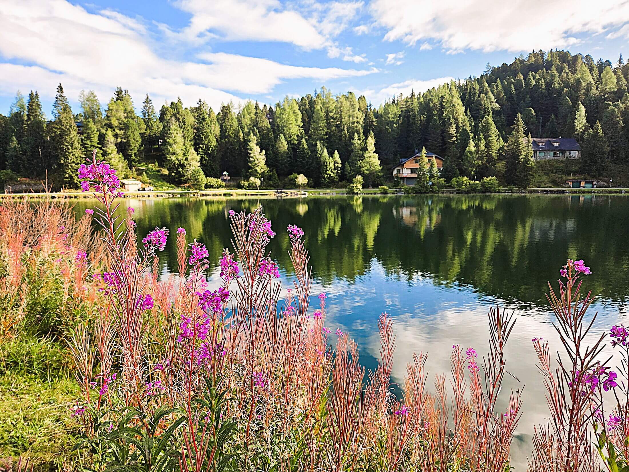 Pietschacher Almhütte Hochrindl