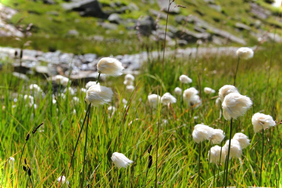 Abenteurer-Hütte am Geißenberg im Mostviertel