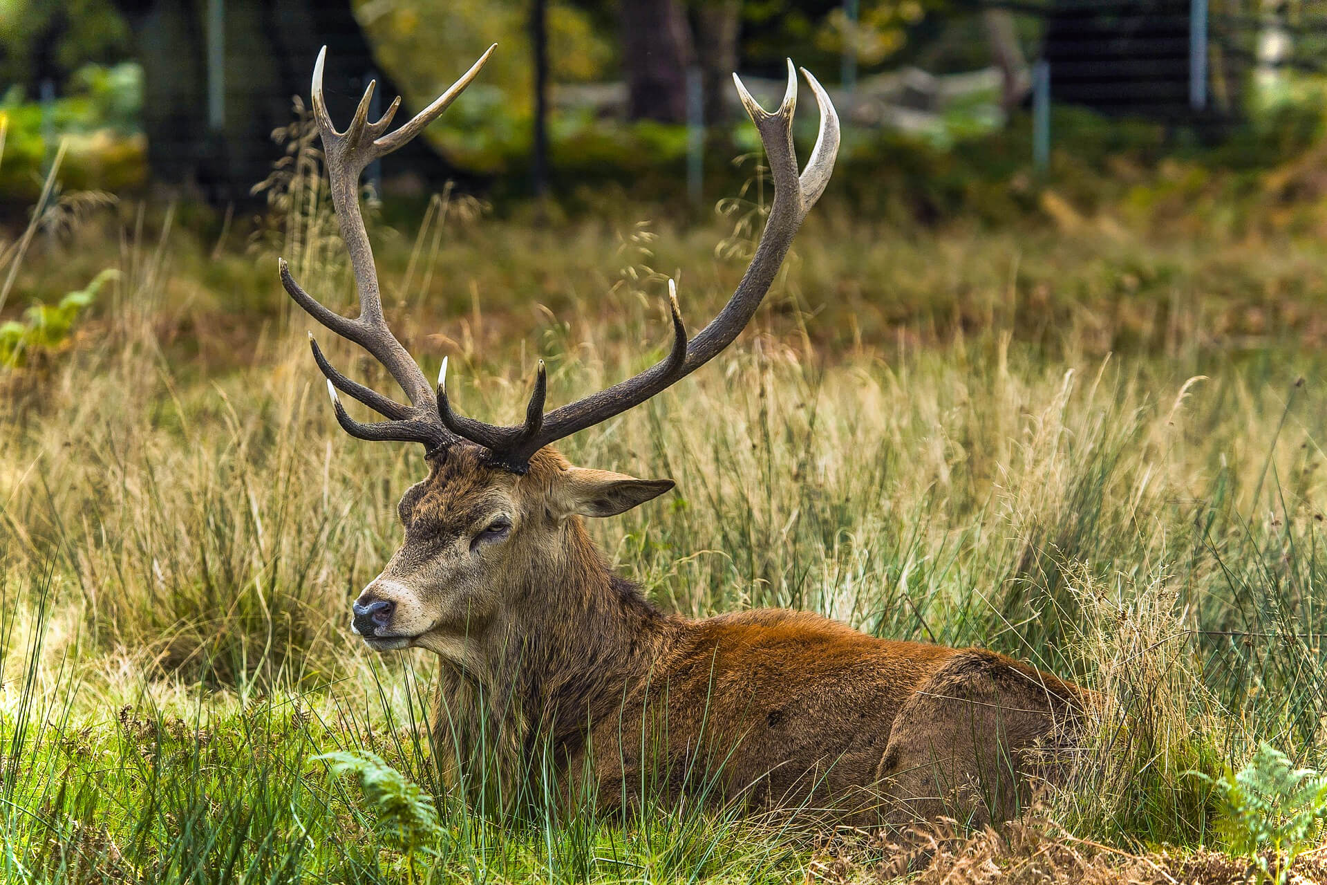 Abenteurer-Hütte am Geißenberg im Mostviertel