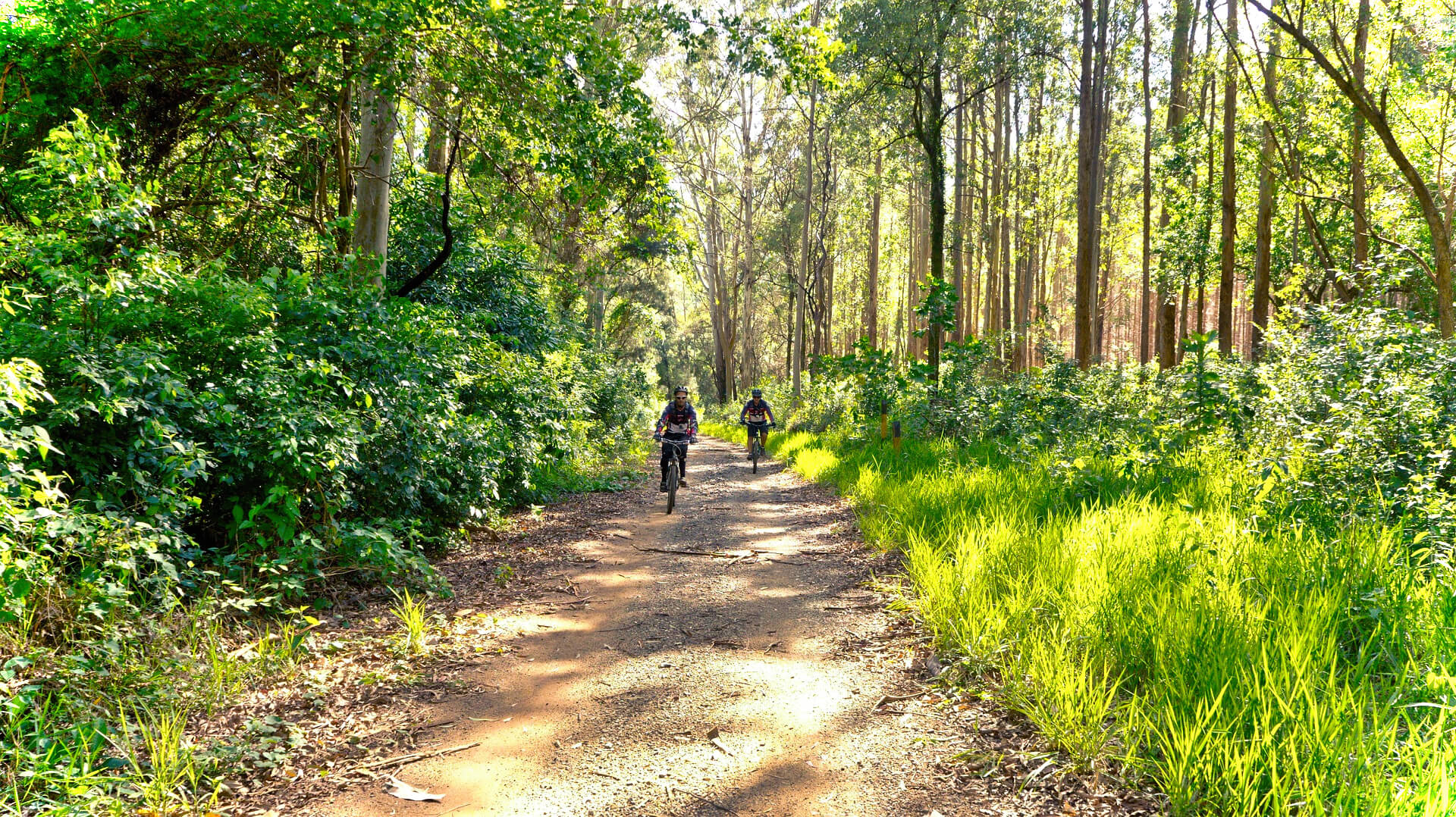 Abenteurer-Hütte am Geißenberg im Mostviertel