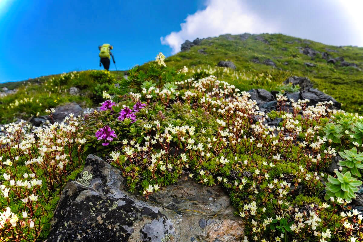 Abenteurer-Hütte am Geißenberg im Mostviertel