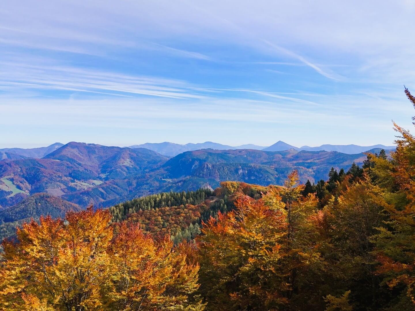 Mühlenhütte am Privatteich im Mostviertel