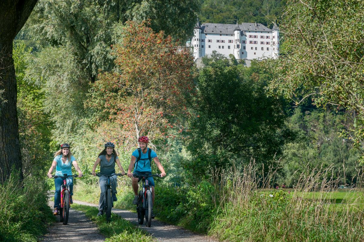Alpenrehblick am Karwendelgebirge