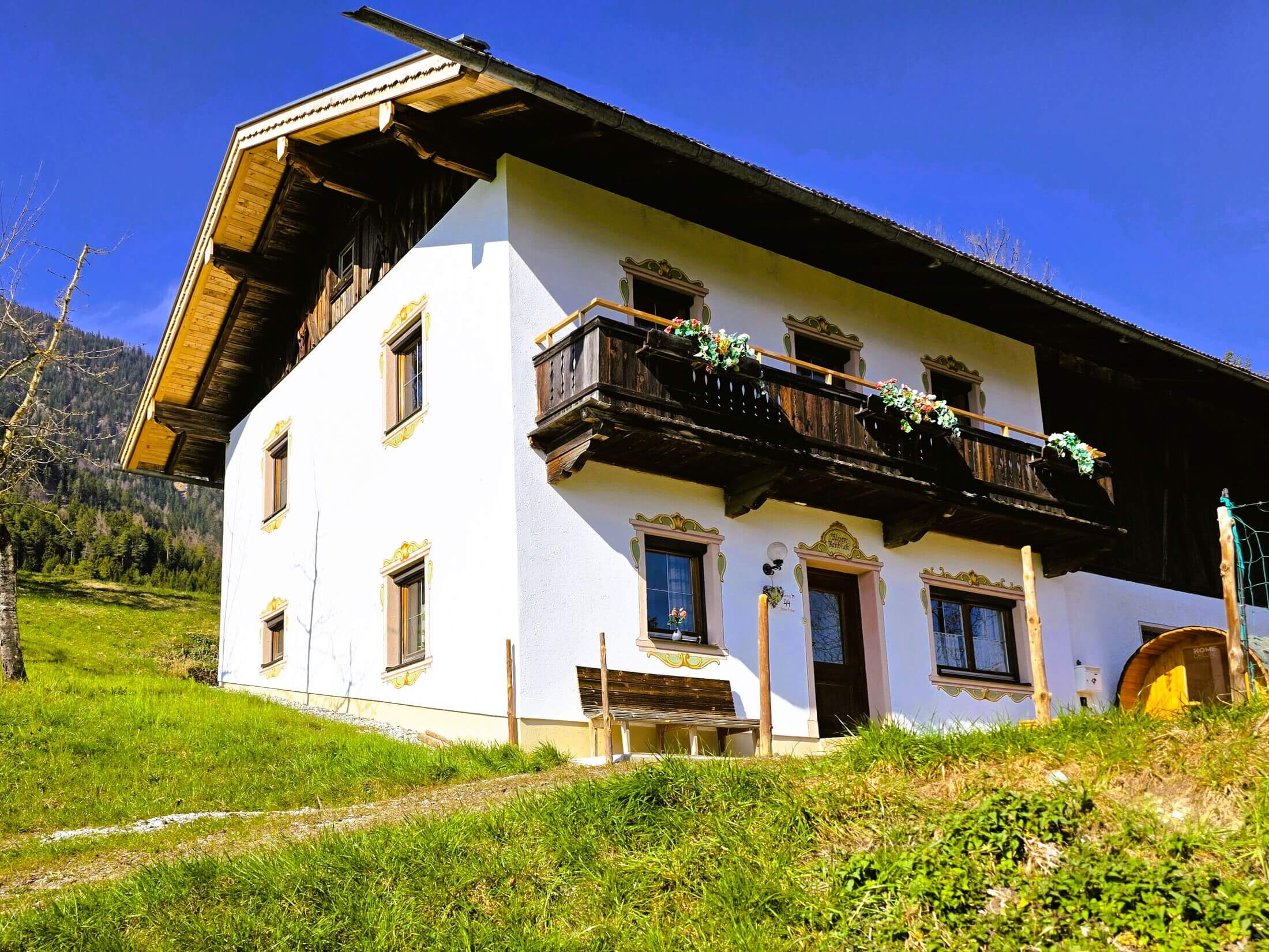 Alpenrehblick am Karwendelgebirge