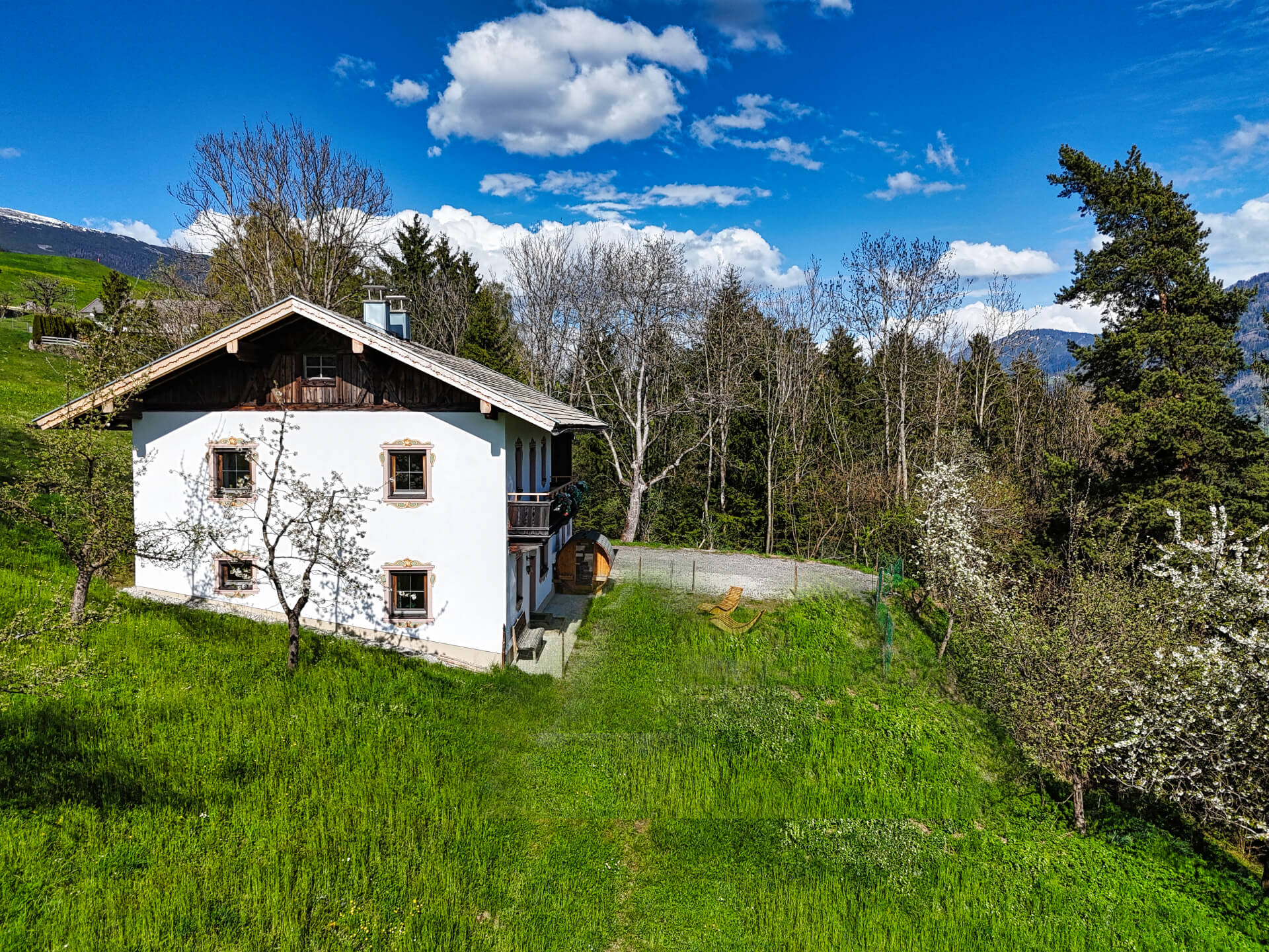 Alpenrehblick am Karwendelgebirge