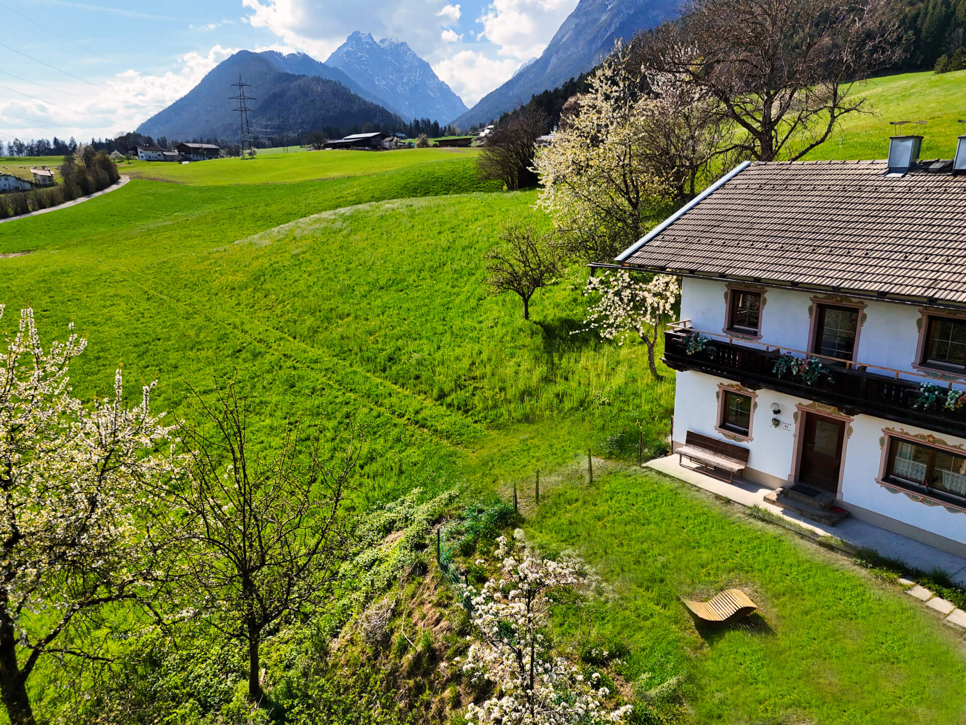 Alpenrehblick am Karwendelgebirge
