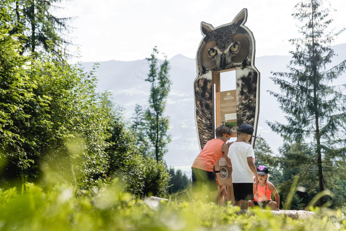 Alte Brennhütte in Ramsau im Zillertal