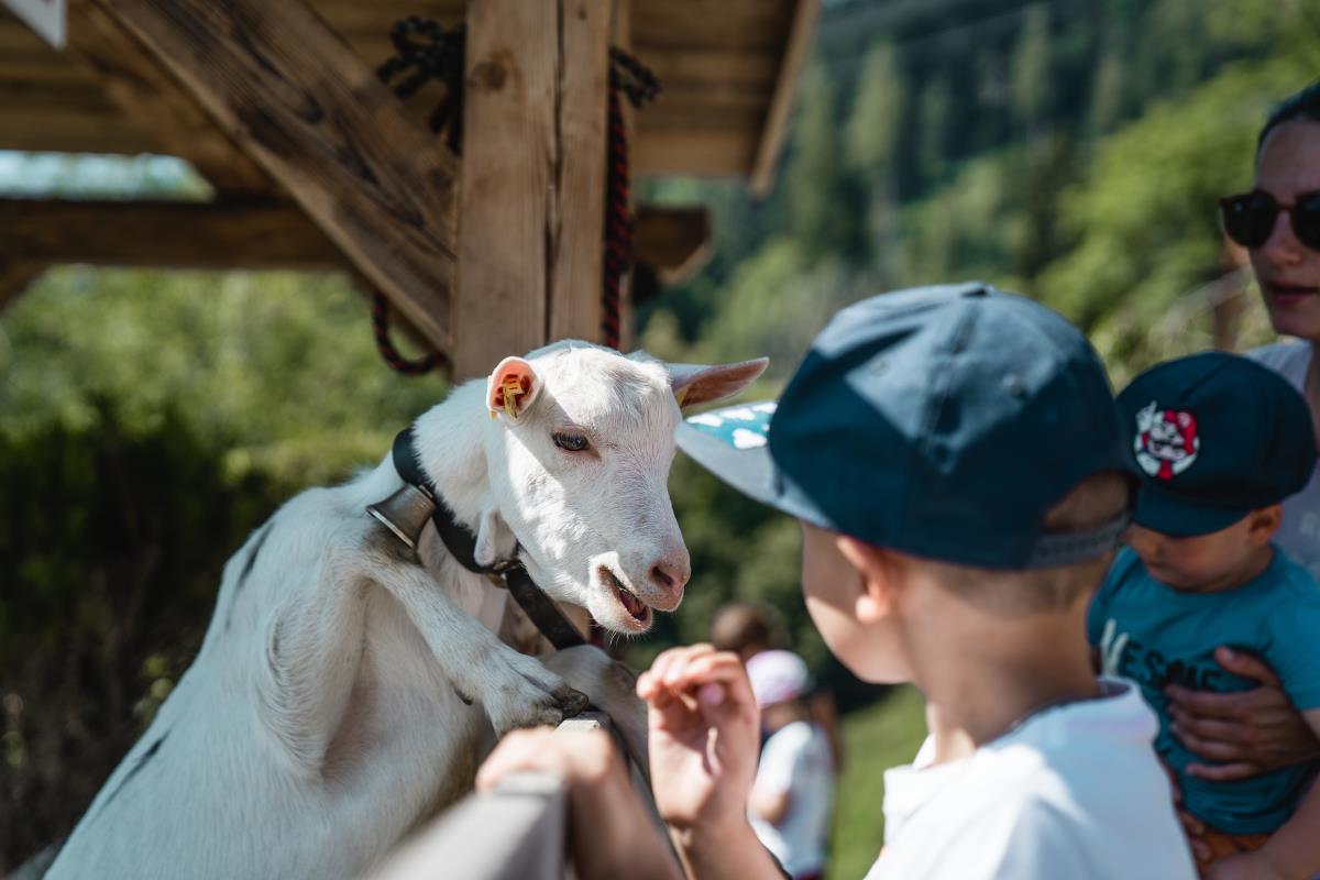 Alte Brennhütte in Ramsau im Zillertal