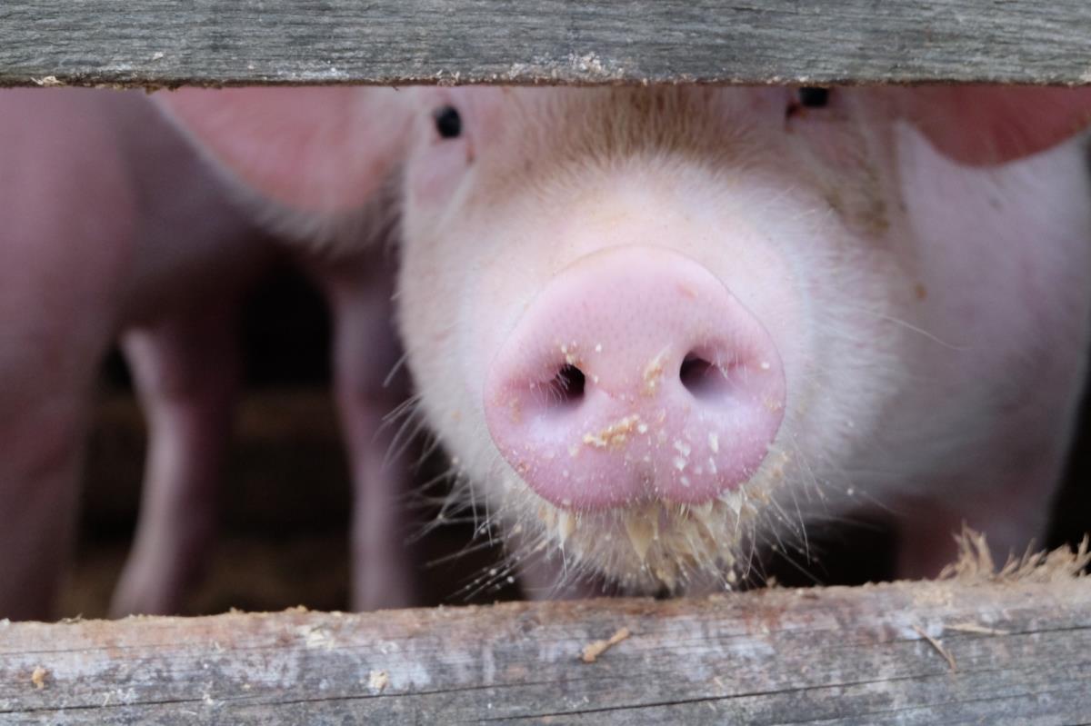 Grafenhäusl am Naturpark Karwendel