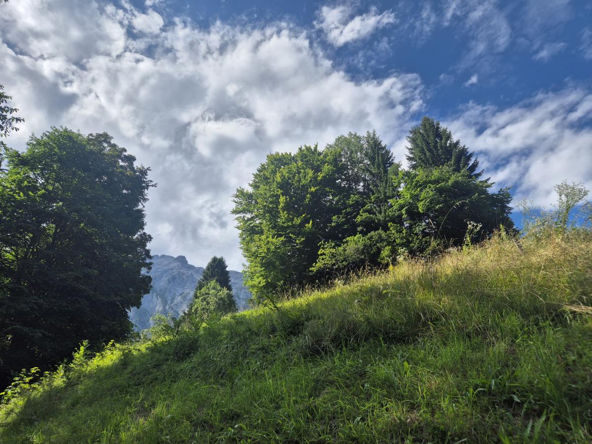 Pferdeheimat am Karwendel