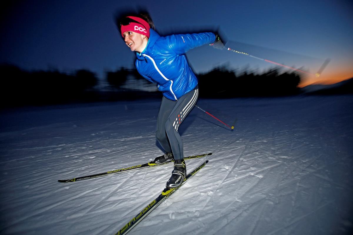 Pferdeheimat am Karwendel