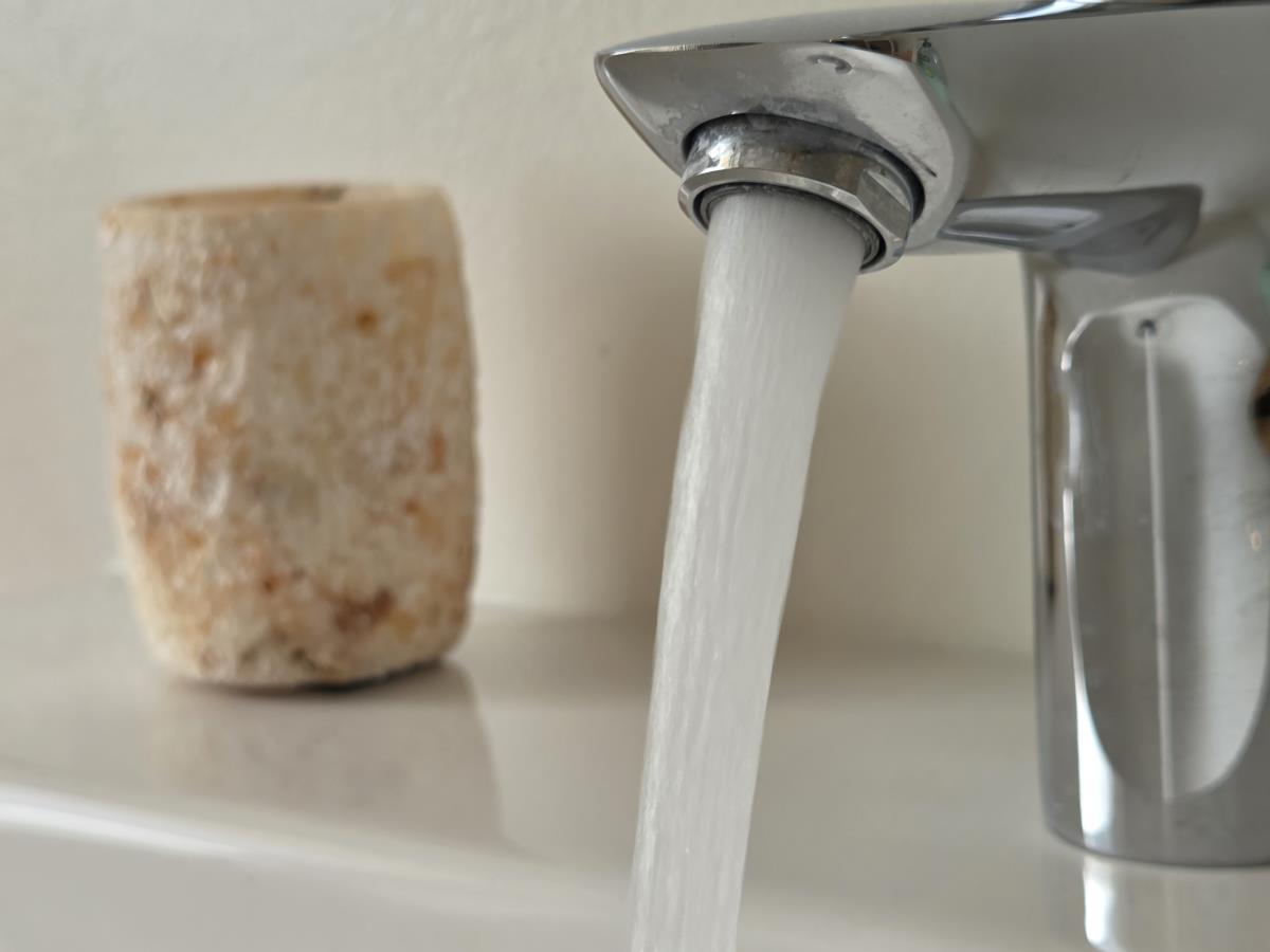 Waldsicht am Karwendelgebirge