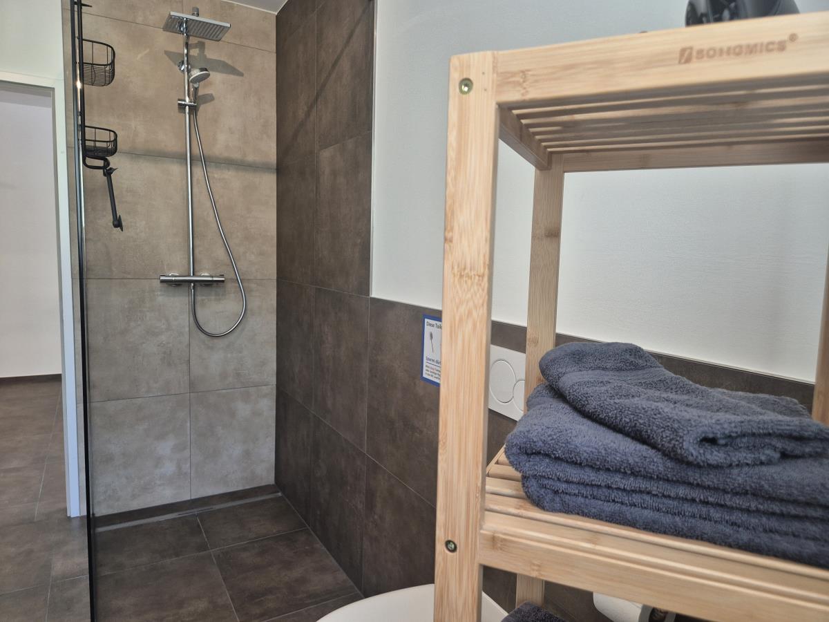 Waldsicht am Karwendelgebirge