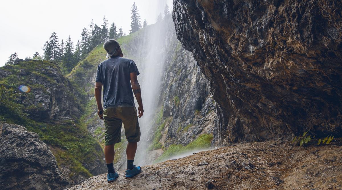 Waldsicht am Karwendelgebirge