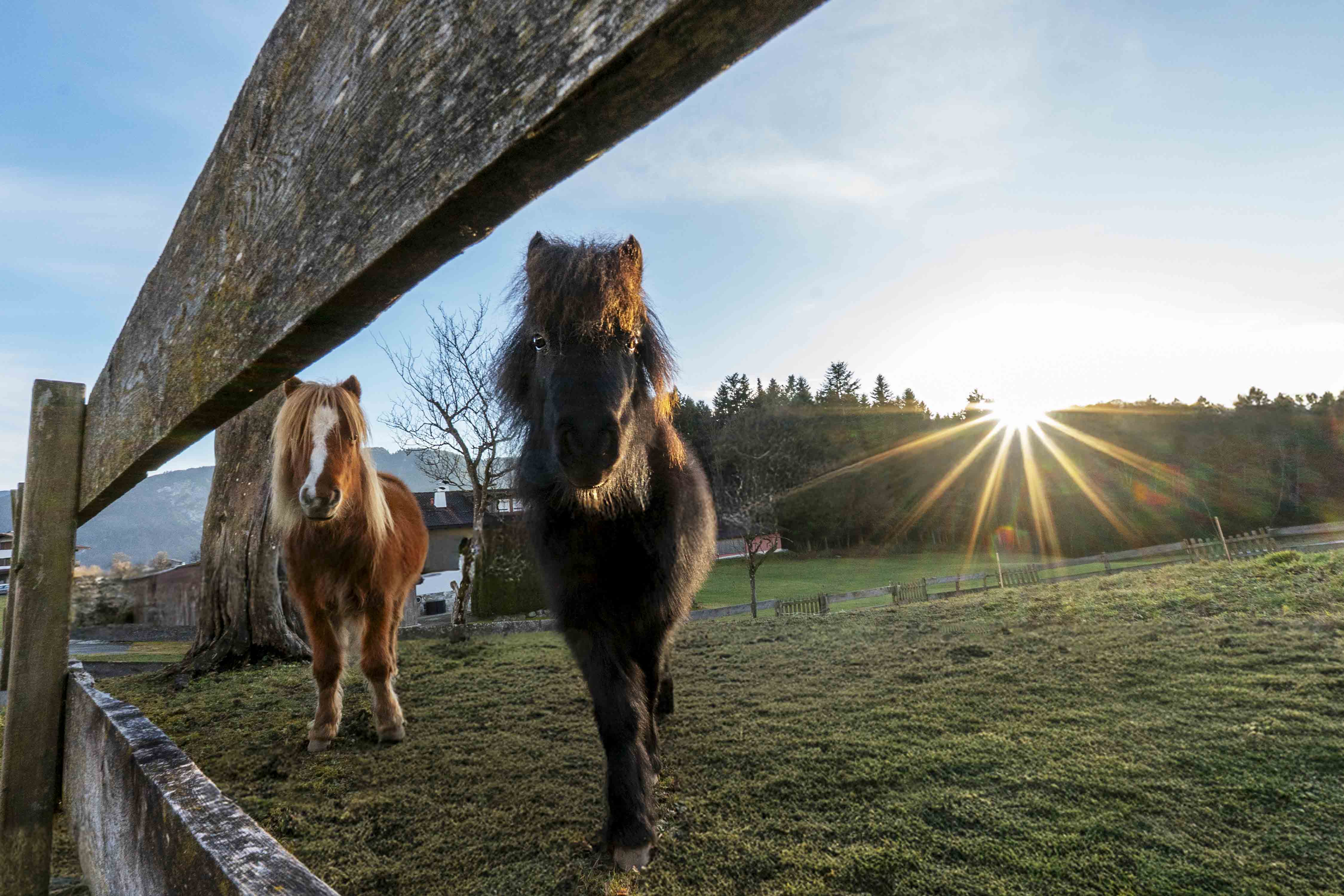 Riedhof-Zuahaus - d´kloane Mühle