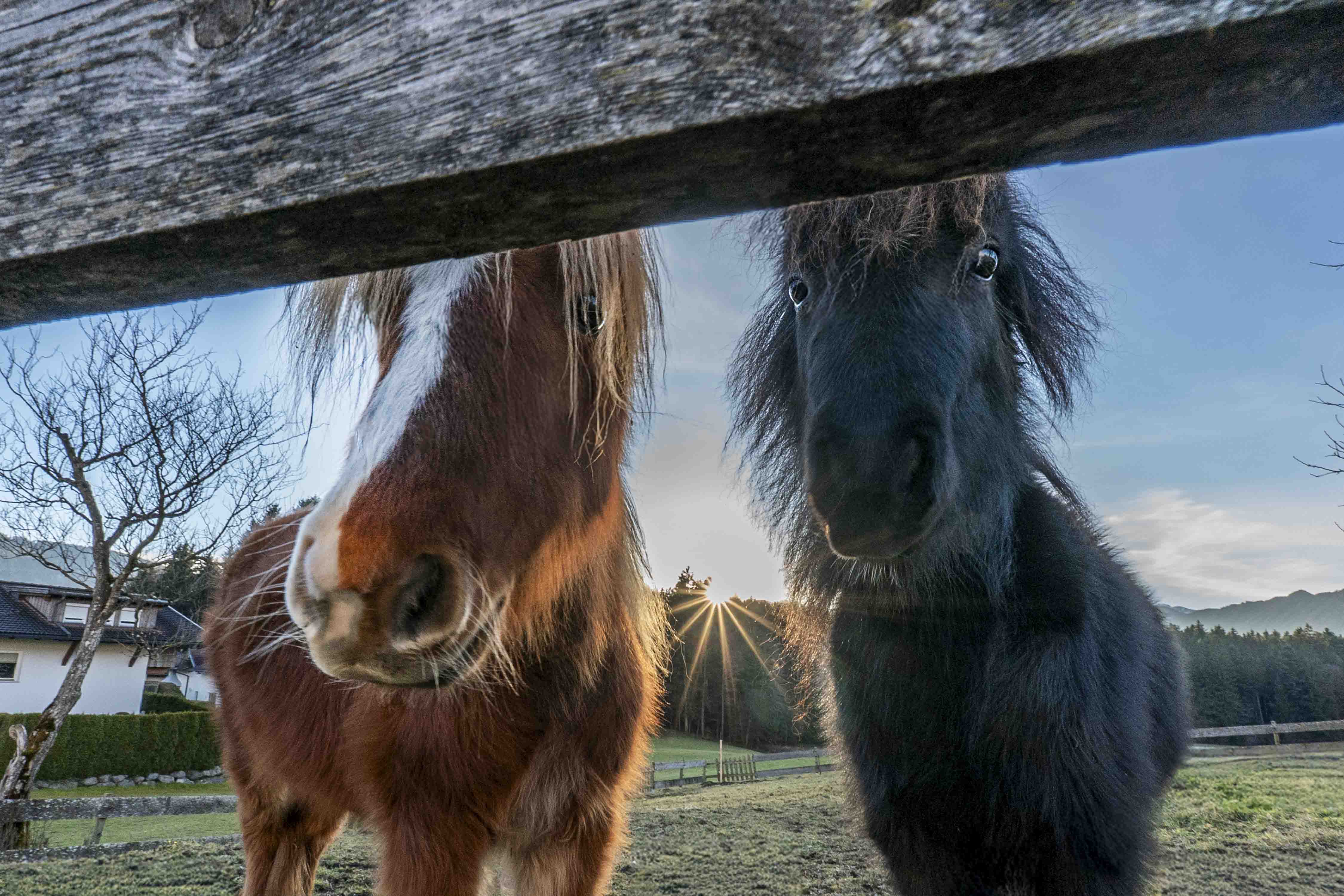 Riedhof-Zuahaus - d´kloane Mühle
