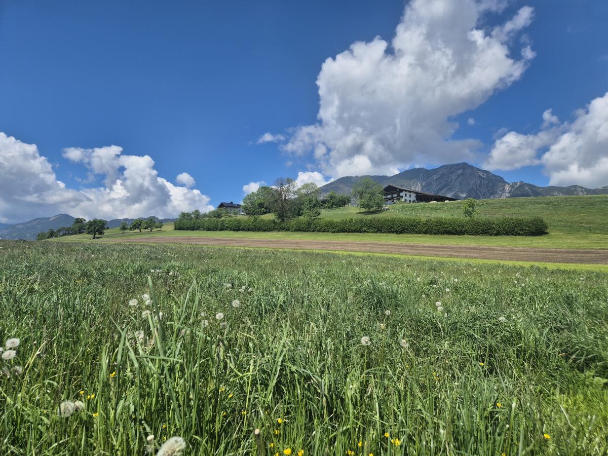 Riedhof-Zuahaus - d´kloane Mühle