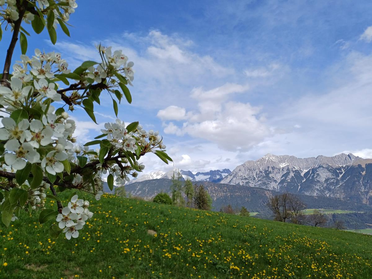 Sternenhimmel in den Tuxer Alpen