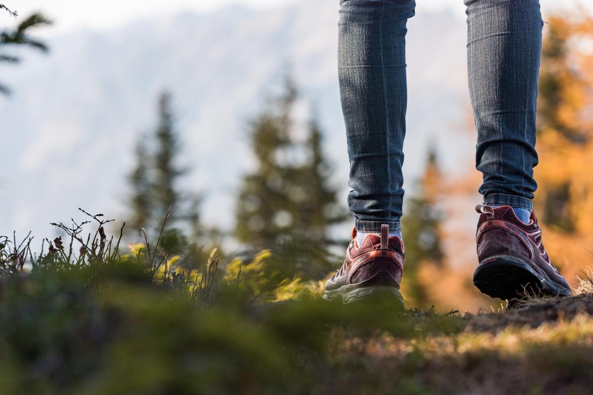 Waldhüttl am Karwendelgebirge
