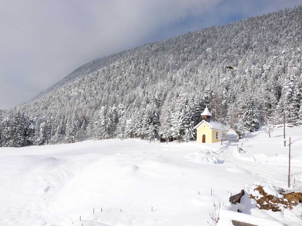 Waldhüttl am Karwendelgebirge