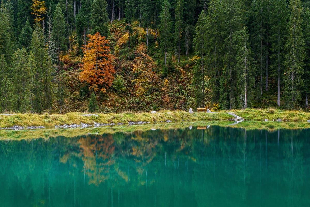 Panorama-Luxuslodge "Ifen"