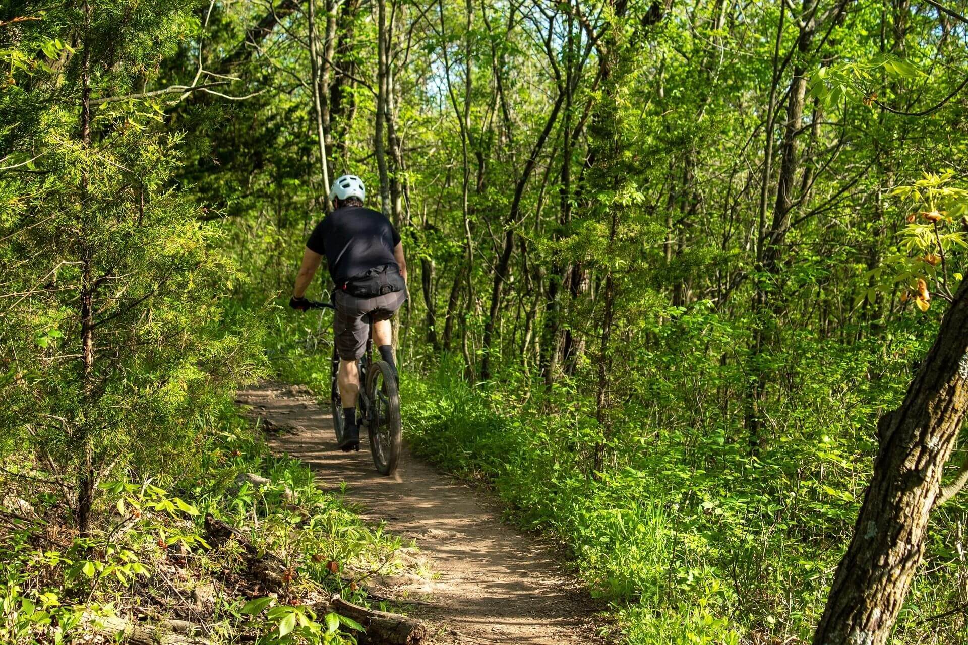 Mountain biking in the mountain forest – activity on a hut holiday